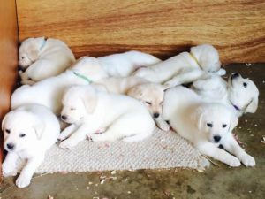 4weeksandtoocute!